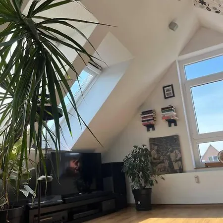 Im Herzen Von , Nah An Der Kueste Esens