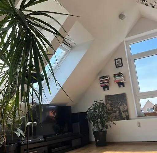 Im Herzen Von , Nah An Der Kueste Esens